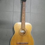 417 3172 Gitarr